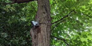 landscape_camera_mount
