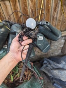 PXL_20231008_140109518 (1)