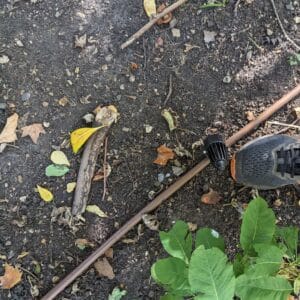 Base of light chewed through