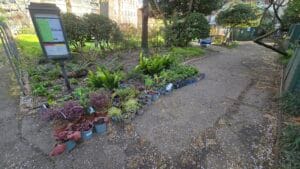 provender-nurseries-1-of-3