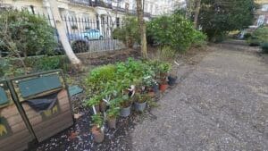 provender-nurseries-2-of-3
