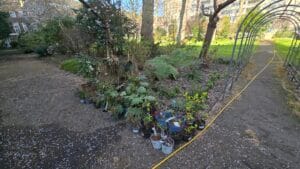 provender-nurseries-3-of-3