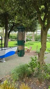 sprung-feeder (2)