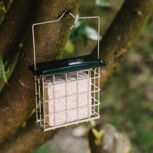 suet-feeder