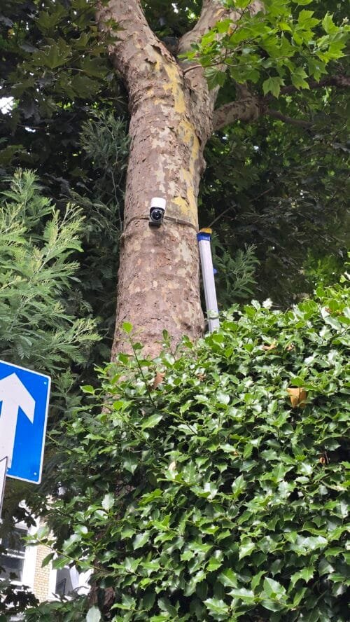 tracking-camera-tree
